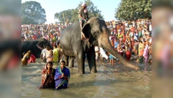 At the centuries-old Sonepur cattle fair, animals are no longer the main attraction