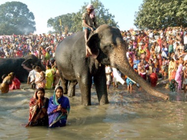 At the centuries-old Sonepur cattle fair, animals are no longer the main attraction At the centuries-old Sonepur cattle fair, animals are no longer the main attraction