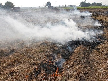 Delhi HC Says Stubble Burning 'main Villain' Behind Dip In Air Quality ...