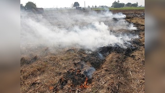 Farmers in Punjab will burn stubble as they 'have no alternative', says president of Bharatiya Kisan Union