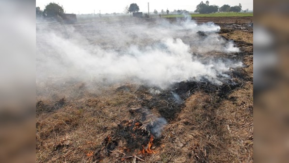 Farmers in Punjab will burn stubble as they 'have no alternative', says president of Bharatiya Kisan Union