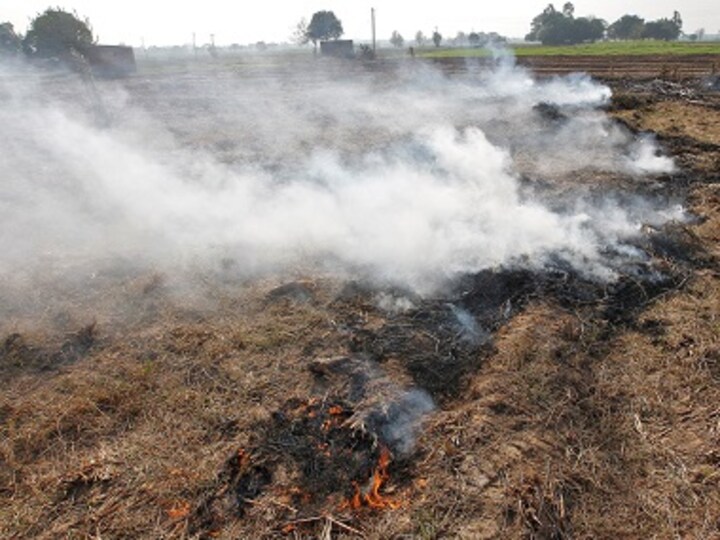Farmers in Punjab will burn stubble as they 'have no alternative', says president of Bharatiya Kisan Union
