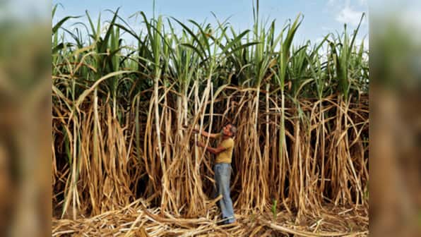 Tamil Nadu farmers cut off sugarcane supply to Thanjavur mill over Rs 32 crore arrears