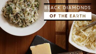 Truffle Watching: What makes this 'black diamond of the earth' the most expensive fungus in the world?