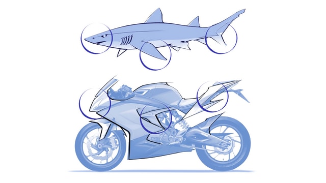 The 2018 Apache RR 310 features what TVS claims to be shark aerodynamics. Image: TVS Apache