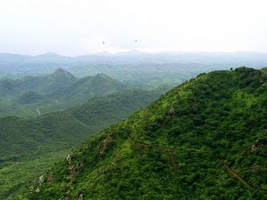 Will Haryana dilute Natural Conservation Zone, forest tags for Aravallis? NCR Planning Board meeting today Will Haryana dilute Natural Conservation Zone, forest tags for Aravallis? NCR Planning Board meeting today