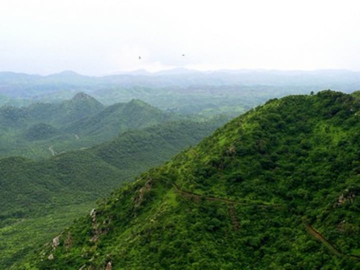 Will Haryana dilute Natural Conservation Zone, forest tags for Aravallis? NCR Planning Board meeting today