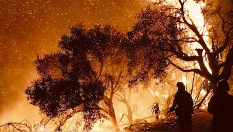 What ignited many of California’s deadliest wildfires remains a mystery: Report