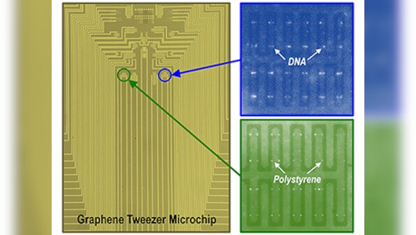 Researchers develop graphene nano tweezers that can efficiently grab individual biomolecules