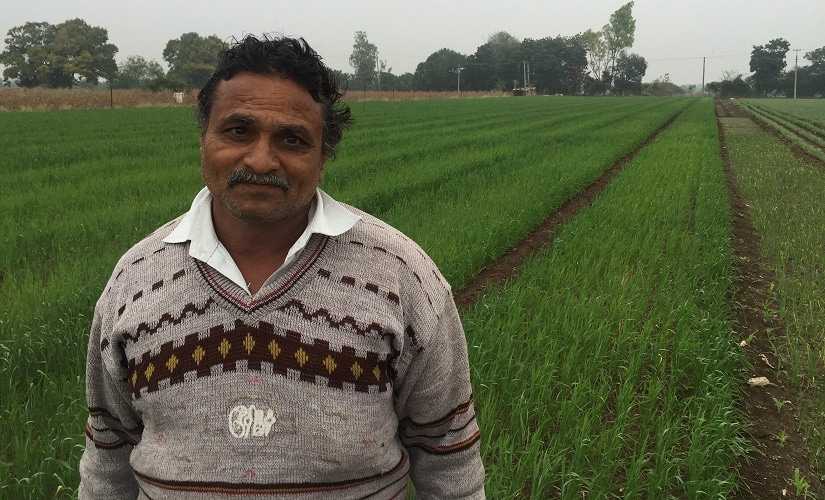 Ramesh Gondalia, a farmer lost 120 quintals of cotton after Cyclone Ockhi brought unseasonal rains to Amreli. Parth MN/Firstpost