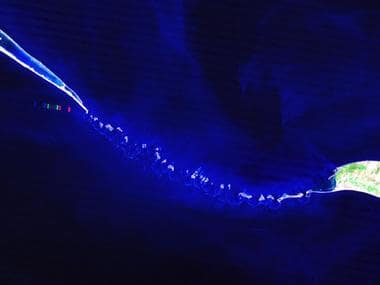 Ram Setu from Ramayana exists, was a man-made formation, claims soon-to-air show on Science Channel