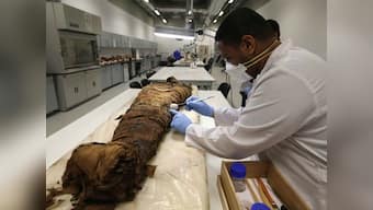 Students at Northwestern University in the US are studying a 1,900 year old Egyptian portrait mummy