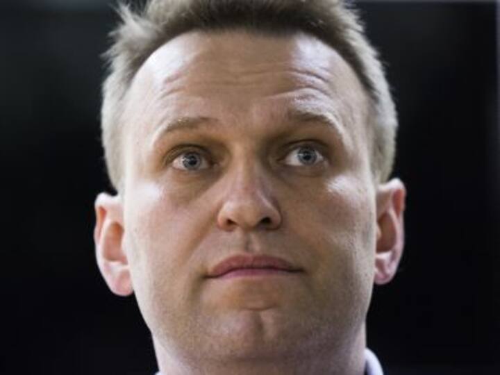Russia Presidential Election: Thousands endorse Alexei Navalny, only challenger to Vladimir Putin, for March vote