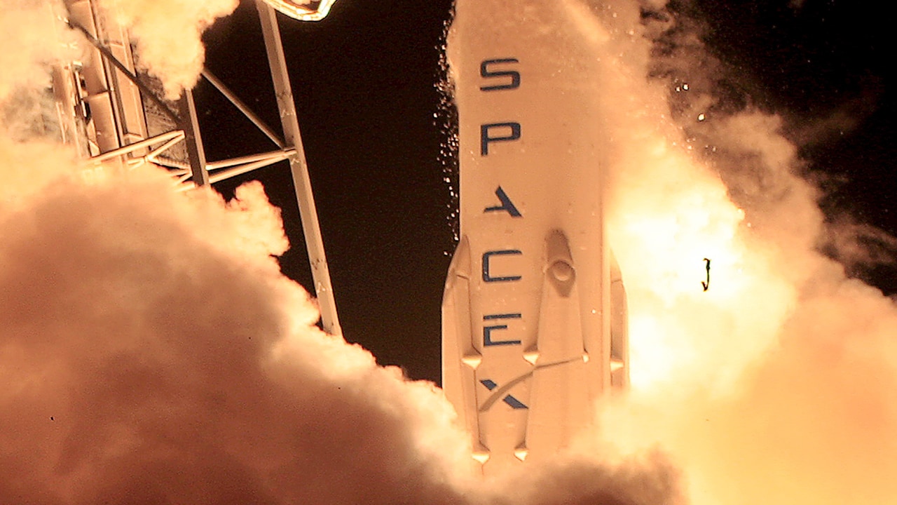 Elon Musk intends to help make humans an inter-planetary species