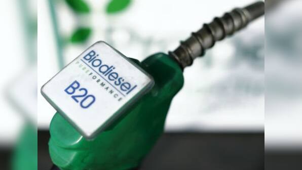 Govt allows export of biofuels from special economic zones and export-oriented units