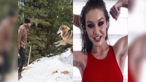 Salman Khan fights off wolves; Gigi Hadid's controversial advent calander: Social Media Stalkers' Guide