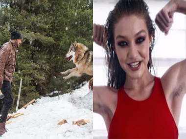 Salman Khan fights off wolves; Gigi Hadid's controversial advent calander: Social Media Stalkers' Guide Salman Khan fights off wolves; Gigi Hadid's controversial advent calander: Social Media Stalkers' Guide