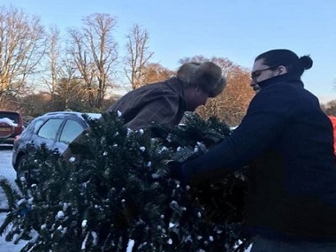 Game Of Thrones star Kit Harrington turns Christmas tree seller this winter Game Of Thrones star Kit Harrington turns Christmas tree seller this winter