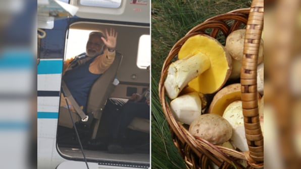 Gujarat polls: From Narendra Modi's 'hawa-hawai' seaplane to 'fairness' mushrooms; political mudslinging turns creative