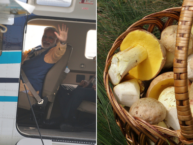 Gujarat polls: From Narendra Modi's 'hawa-hawai' seaplane to 'fairness' mushrooms; political mudslinging turns creative Gujarat polls: From Narendra Modi's 'hawa-hawai' seaplane to 'fairness' mushrooms; political mudslinging turns creative