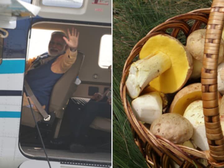Gujarat polls: From Narendra Modi's 'hawa-hawai' seaplane to 'fairness' mushrooms; political mudslinging turns creative