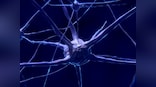 Scientists develop new type of neural network chip to make teaching machines think more like humans