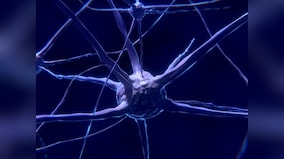 Scientists develop new type of neural network chip to make teaching machines think more like humans