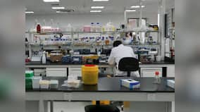Study shows how motor protein Kinesin helps maintain the amount of fat in blood