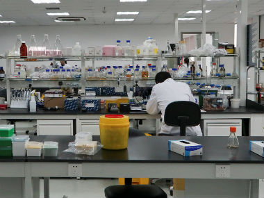 Study shows how motor protein Kinesin helps maintain the amount of fat in blood Study shows how motor protein Kinesin helps maintain the amount of fat in blood