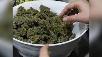 Narcotics Control Bureau arrests 4 students from DU, JNU, and Amity University, seizes 1.14 kgs of cannabis