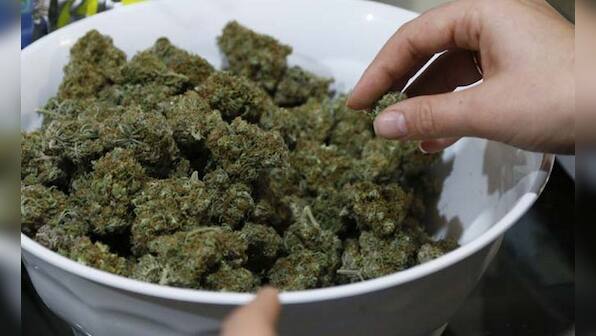 Chronic pain the most common reason why people enroll in medical marijuana programs