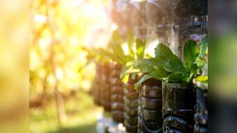 7 Ways to live a Clean, Green Life