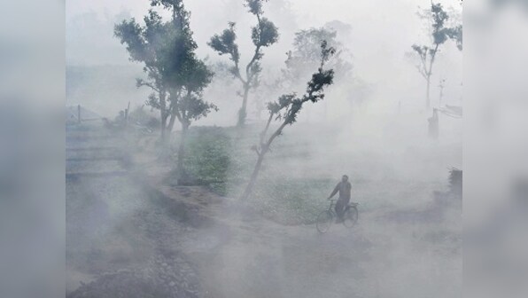 Rains stay away from north India, making it driest January since 1901; prolonged dry spell may impact Rabi crop