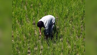 At a mere six hours a day, Karnataka's agriculture sector receives least power in the country, reveals government data