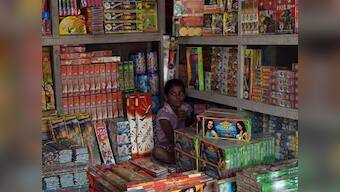 SC ruling on firecrackers: Industry fears loss of sales, appeals government to expedite issue of temporary licences