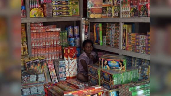 SC ruling on firecrackers: Industry fears loss of sales, appeals government to expedite issue of temporary licences