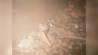Fukushima operator TEPCO releases fresh images of reactor wreckage; broken parts, debris that could be melted fuel seen