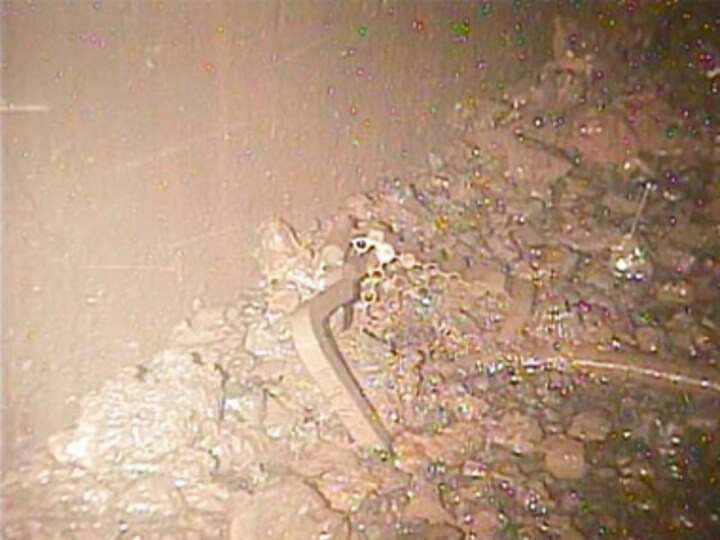 Fukushima operator TEPCO releases fresh images of reactor wreckage; broken parts, debris that could be melted fuel seen