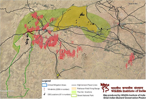 In the Thar, the great Indian bustard is concentrated mainly in a tiny swathe of the Desert National Park, while the other main population is in the Indian army’s Pokhran field firing range. The corridor that connects the two is densely packed with power lines, which kill the birds and have isolated the two populations.