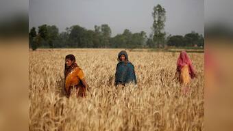 A new study reveals that rural women have the resilience to cope with climate risks