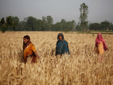 A new study reveals that rural women have the resilience to cope with climate risks A new study reveals that rural women have the resilience to cope with climate risks