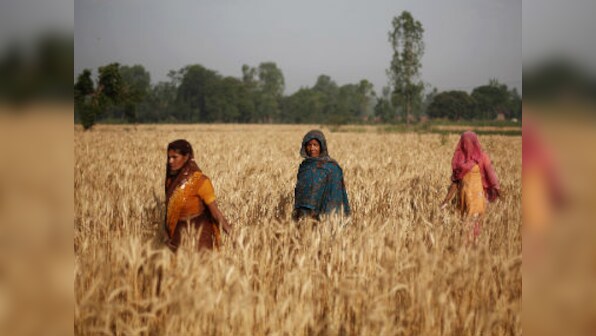 A new study reveals that rural women have the resilience to cope with climate risks