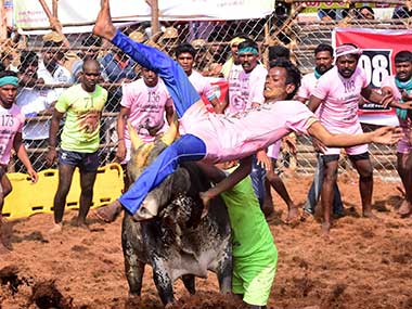 PETA urges Tamil Nadu government to ban jallikattu, says regulation can't prevent deaths PETA urges Tamil Nadu government to ban jallikattu, says regulation can't prevent deaths