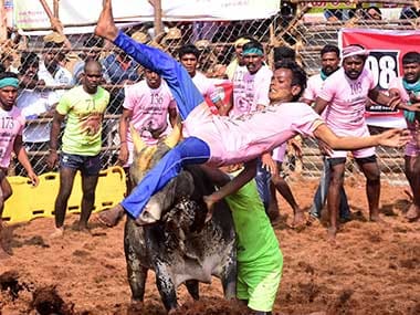 Upto 76 injured while participating in Jallikattu within first three days of festival in Tamil Nadu