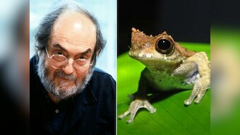 Newly discovered 'Clockwork Orange' frog species named after legendary director Stanley Kubrick