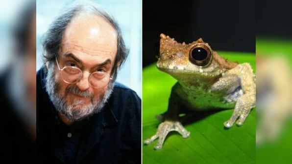 Newly discovered 'Clockwork Orange' frog species named after legendary director Stanley Kubrick