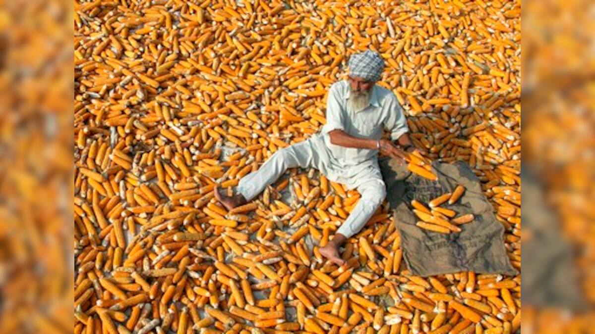 Hyderabad-based scientists get a step closer to developing disease ...