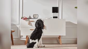 Petcube's new gadgets will let pets take selfie videos and call you up when you're away