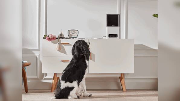 Petcube's new gadgets will let pets take selfie videos and call you up when you're away