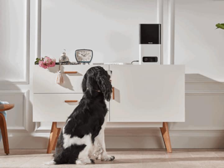 Petcube's new gadgets will let pets take selfie videos and call you up when you're away